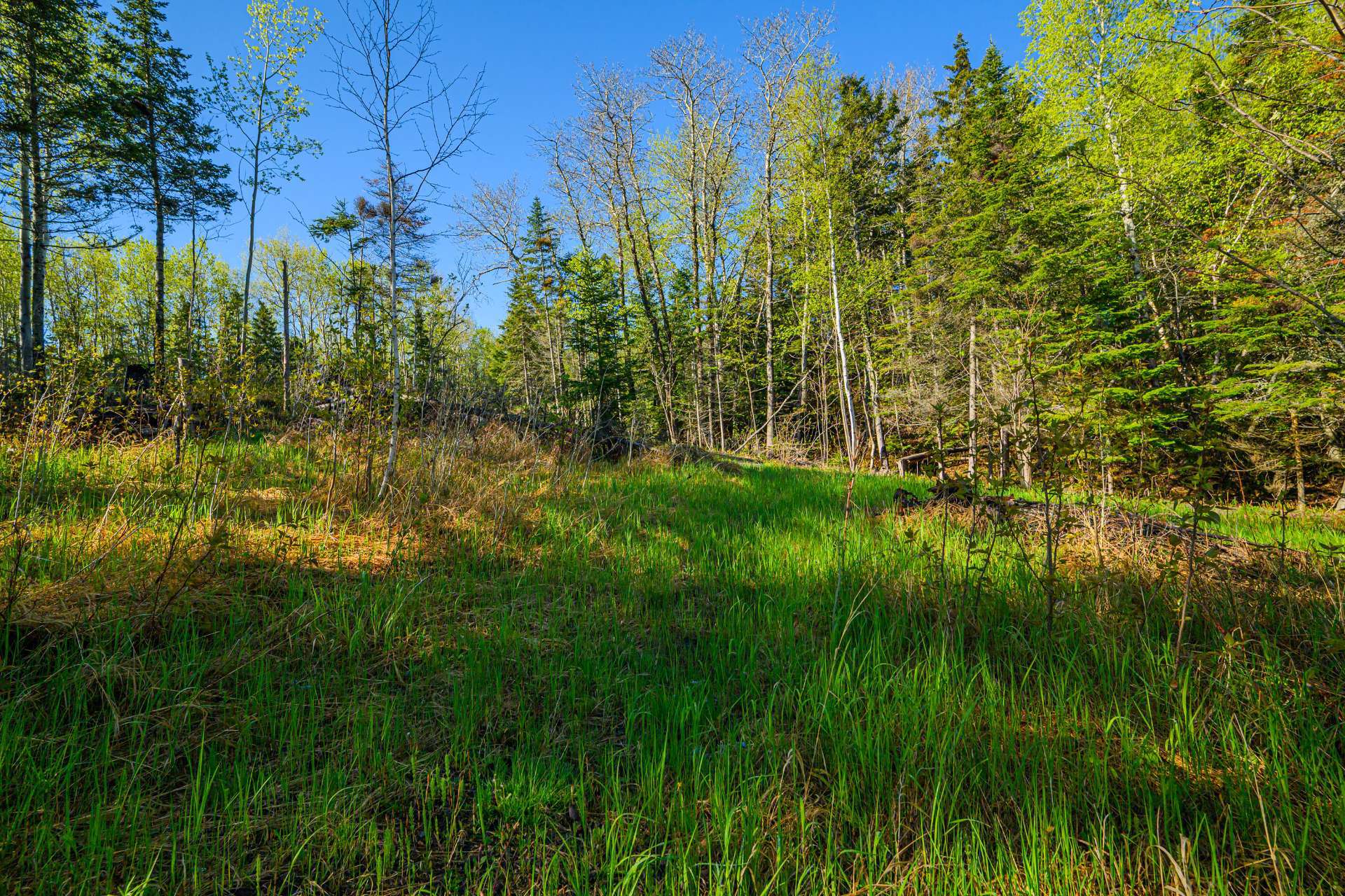 Land/Lot