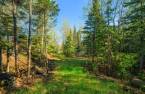 Terre/Terrain