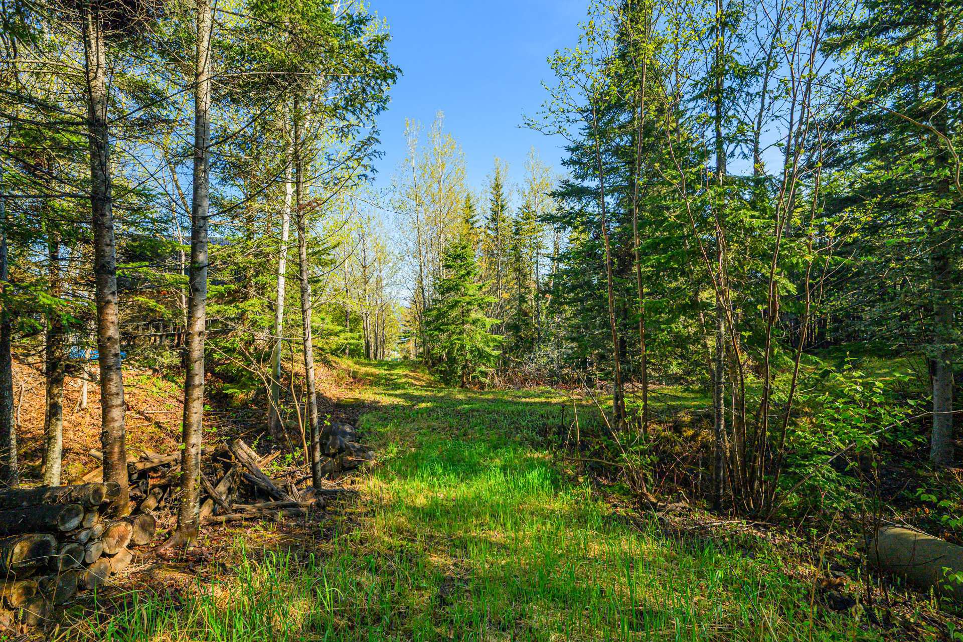 Land/Lot