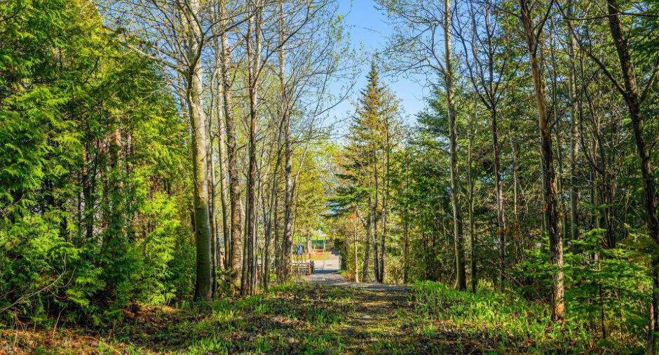 Terre/Terrain