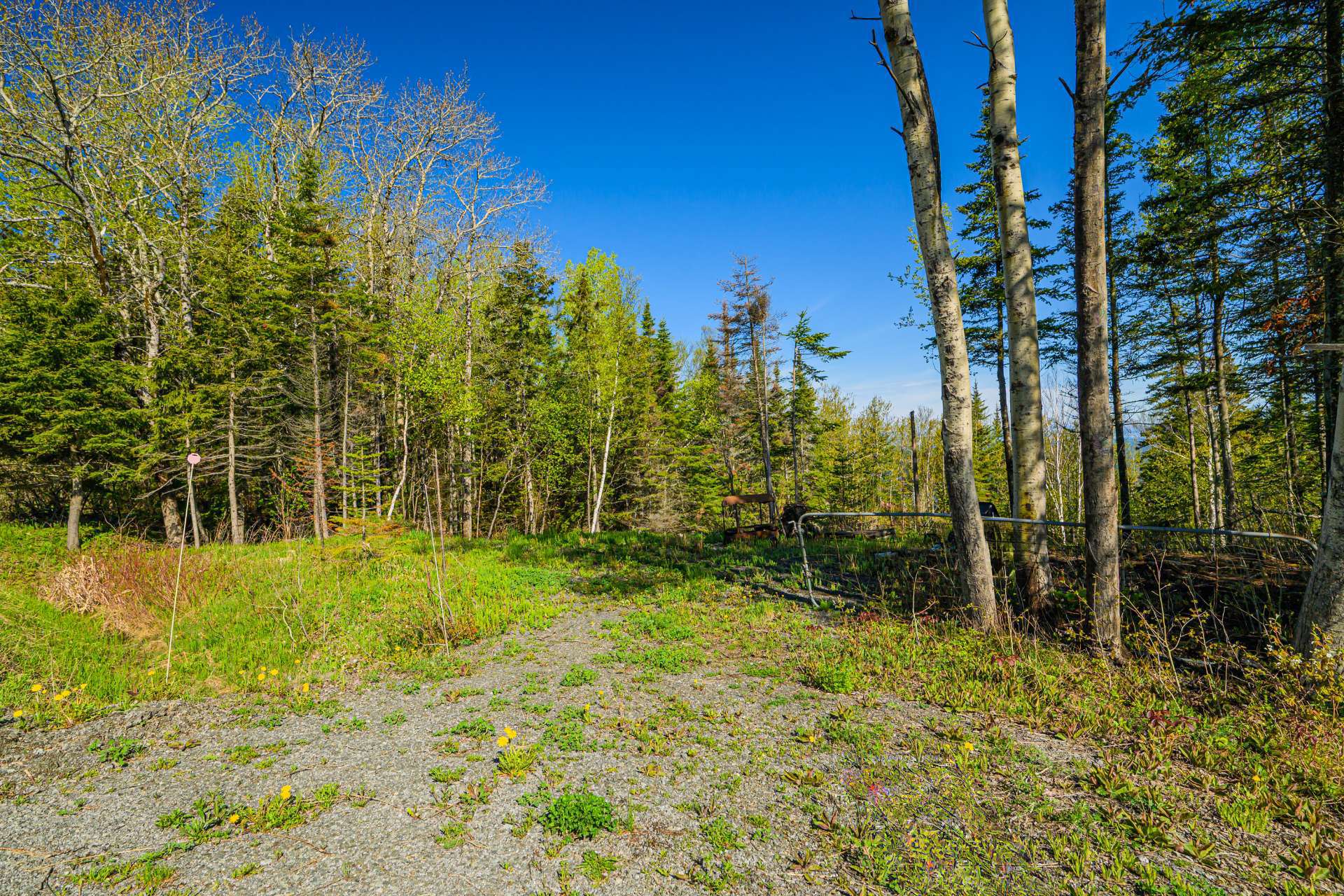Land/Lot