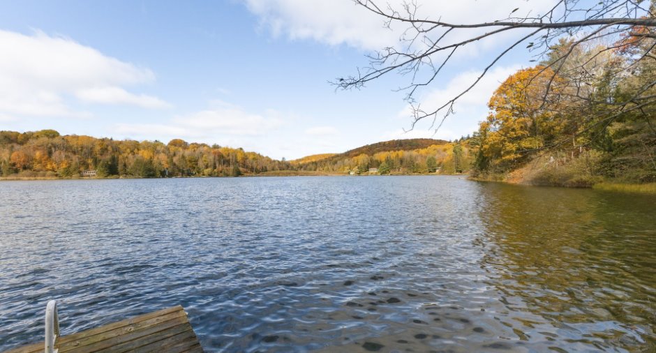 Bord de l'eau