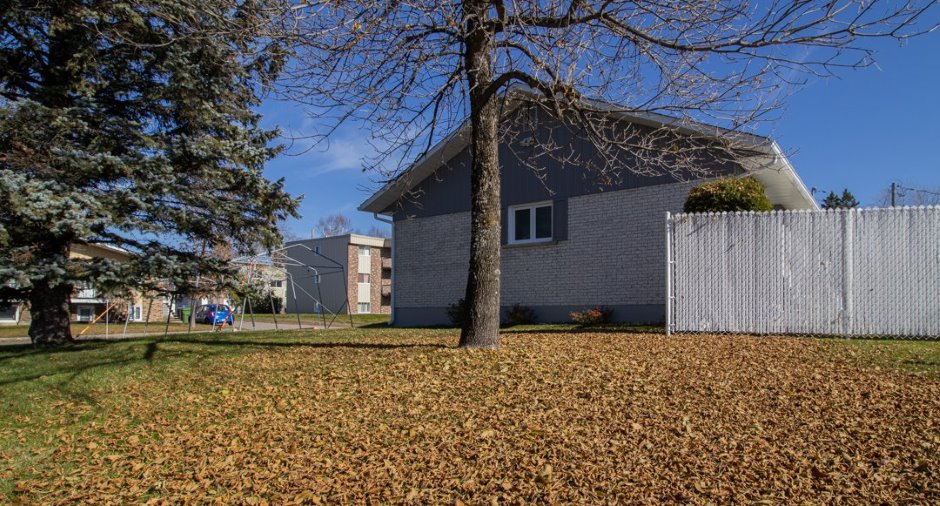 Vue