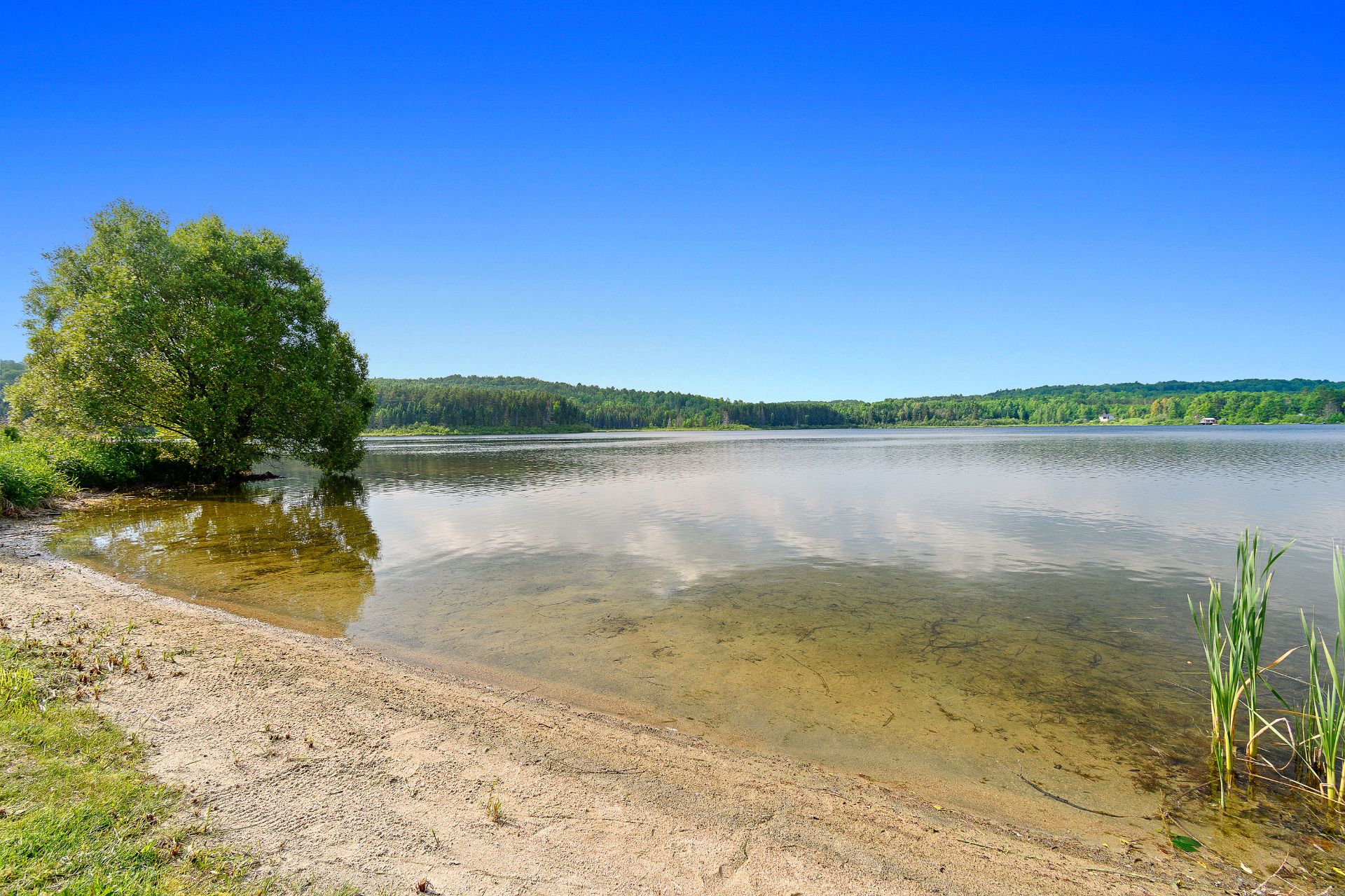 Bord de l'eau