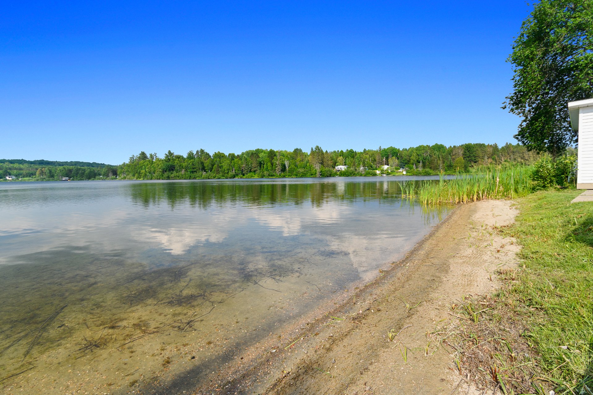 Bord de l'eau