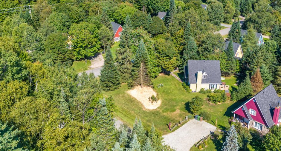 Overall View