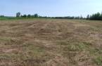 Land/Lot