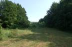 Land/Lot