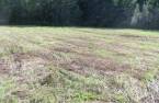 Land/Lot