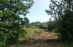 Land/Lot