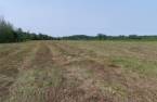 Land/Lot