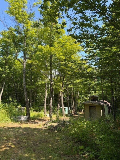 59 Ch. Nancy — photo 2