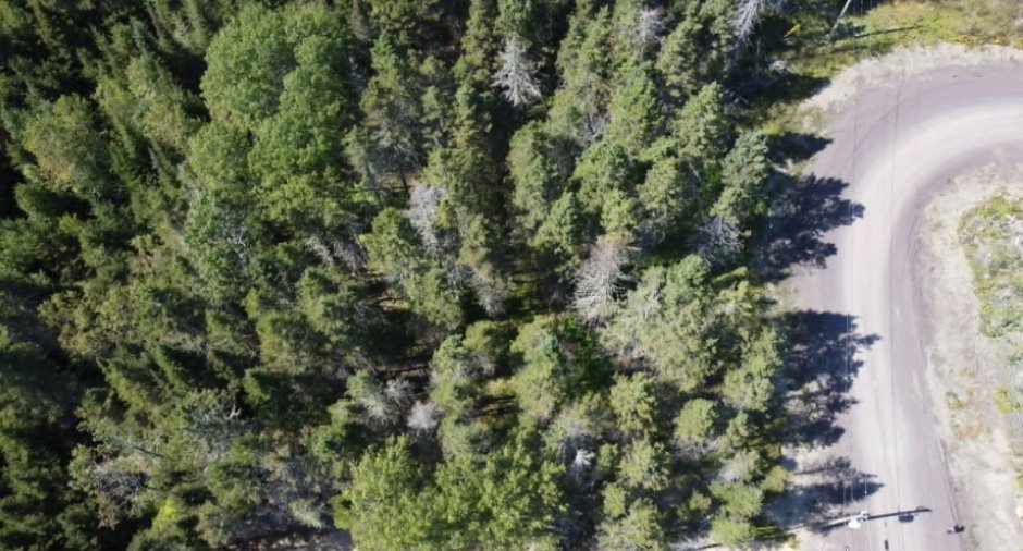 Aerial photo