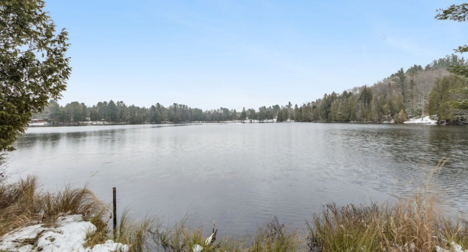 Bord de l'eau