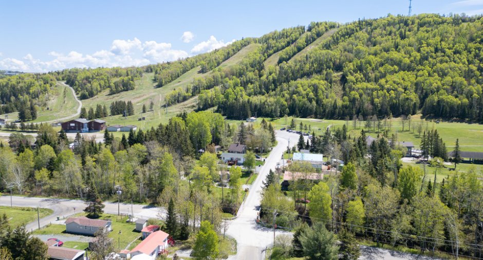 Overall View
