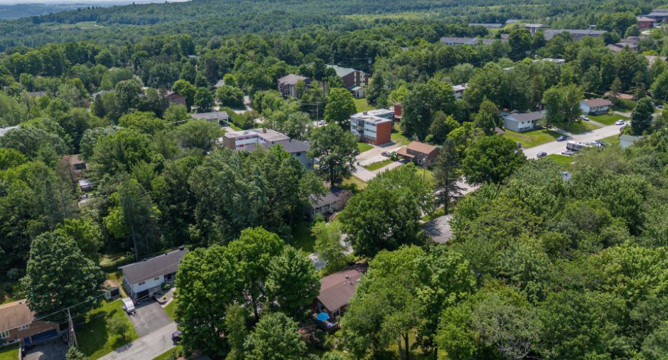 Vue