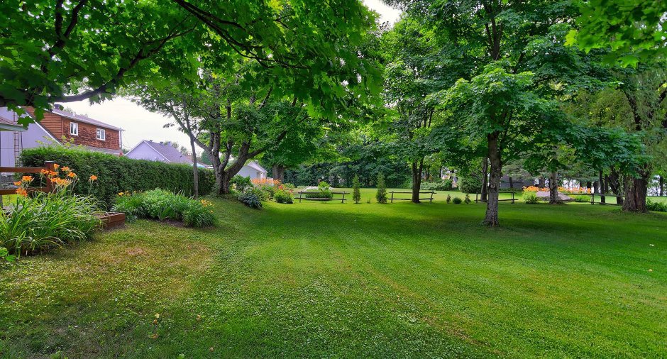 Backyard