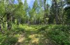 Terre/Terrain