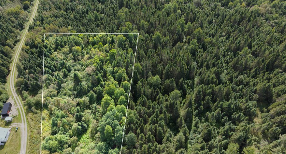 Terre/Terrain