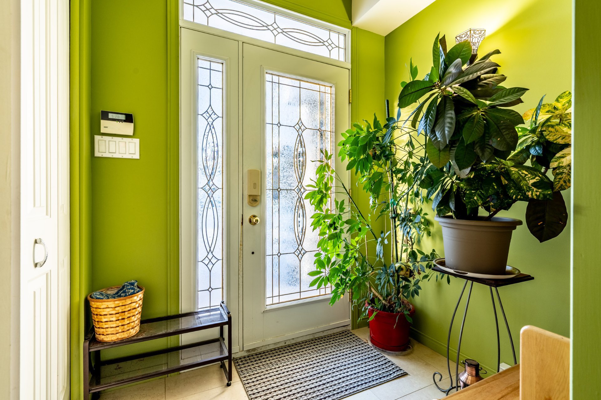 255 Av. des Prés — photo 2