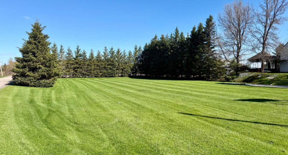 Land/Lot