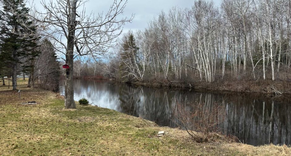 Bord de l'eau
