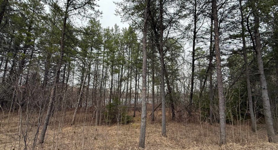 Overall View