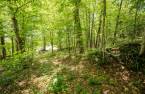 Terre/Terrain