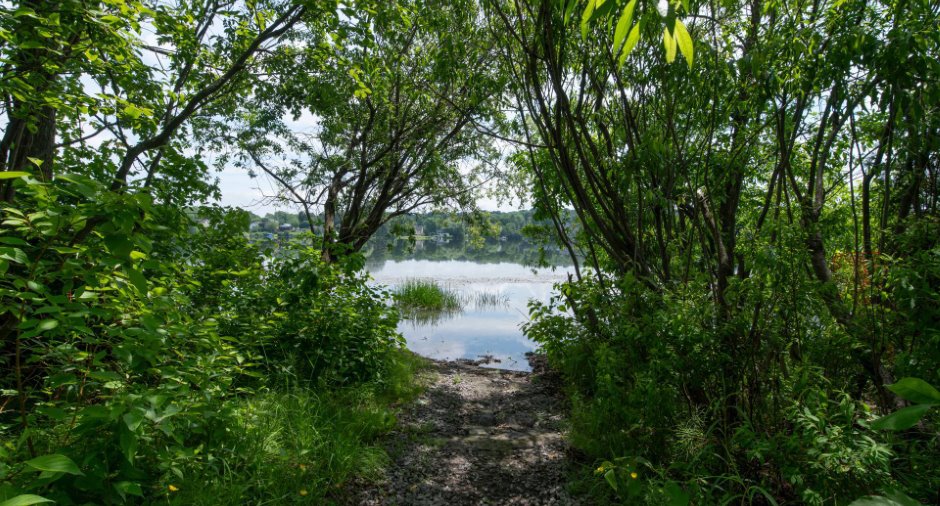 Accès au plan d'eau