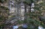 Land/Lot