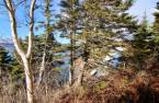 Land/Lot