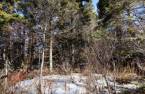 Land/Lot