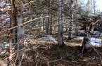 Land/Lot