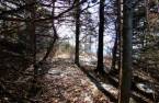 Land/Lot