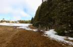 Land/Lot