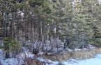 Land/Lot
