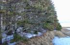 Land/Lot