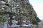 Land/Lot