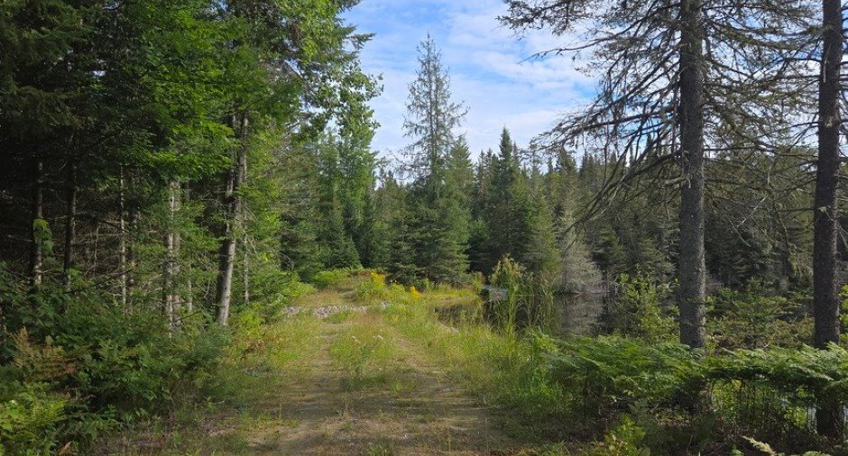 Land/Lot