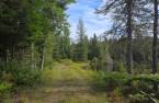Land/Lot
