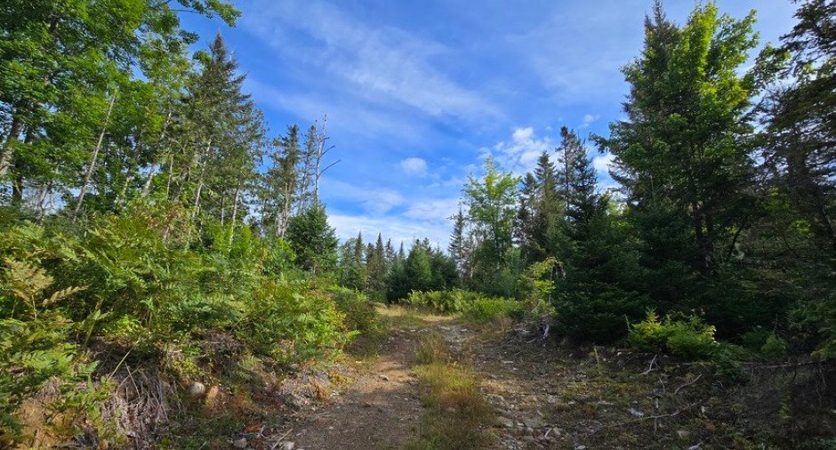Land/Lot