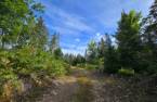 Land/Lot