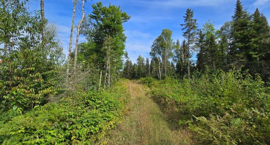 Land/Lot