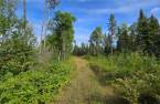 Land/Lot