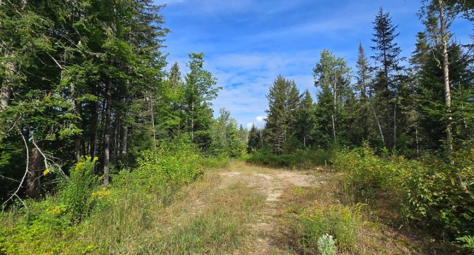 Land/Lot