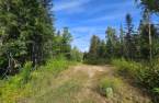 Land/Lot