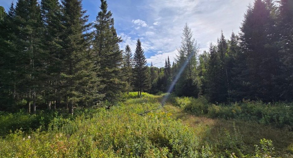 Land/Lot