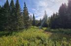 Land/Lot