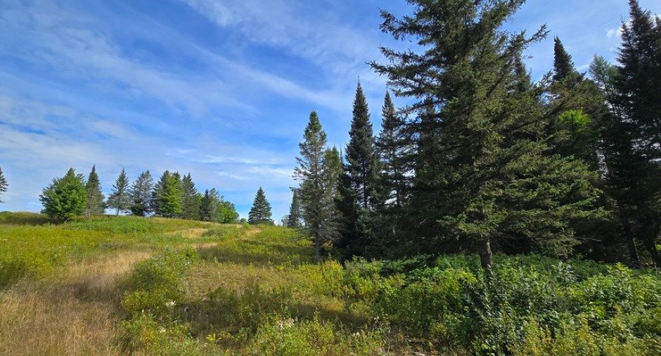 Land/Lot