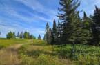 Land/Lot